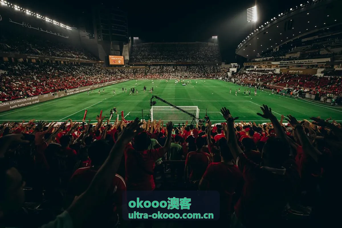 okooo澳客实时赛果数据面板展示